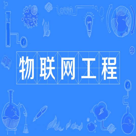 物联网工程（传媒领域术语）