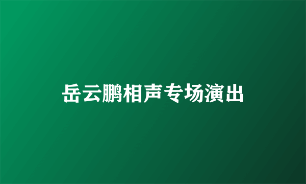 岳云鹏相声专场演出