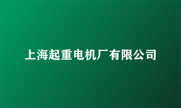 上海起重电机厂有限公司