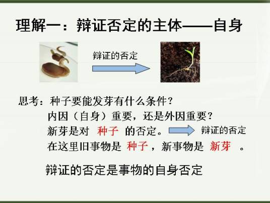 形而上学的否定观