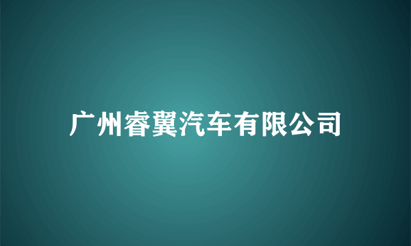 广州睿翼汽车有限公司