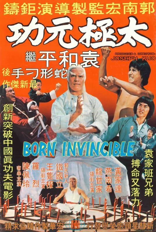 太极气功（1978年郭南宏执导的电影）