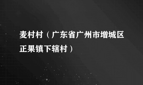 麦村村（广东省广州市增城区正果镇下辖村）