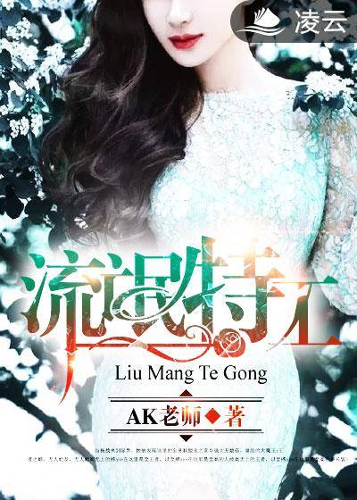 流氓特工（AK老师创作的网络小说）