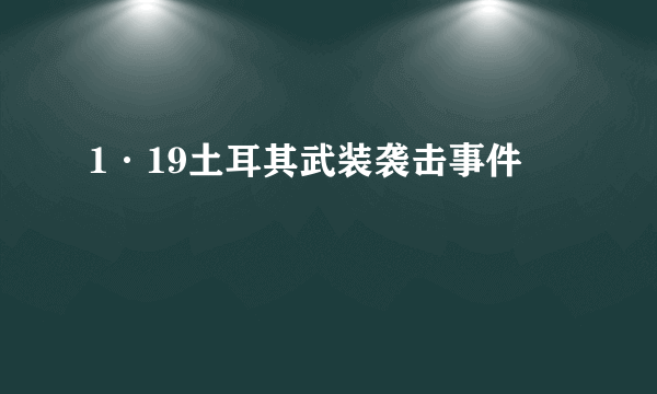 1·19土耳其武装袭击事件