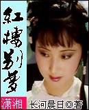 红楼别梦（长河晨日所著网络连载小说）