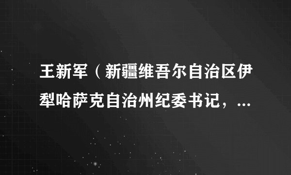 王新军（新疆维吾尔自治区伊犁哈萨克自治州纪委书记，州监察委员会主任）