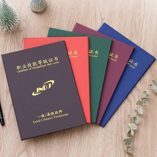 职业技能等级证书