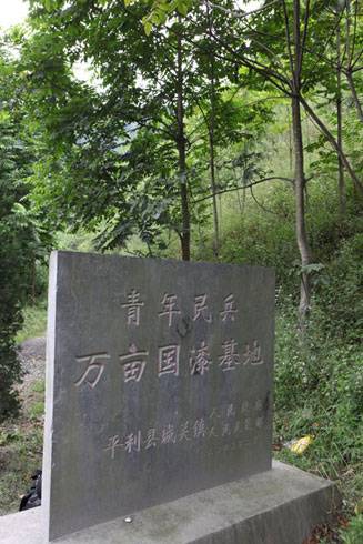 中国漆树之乡