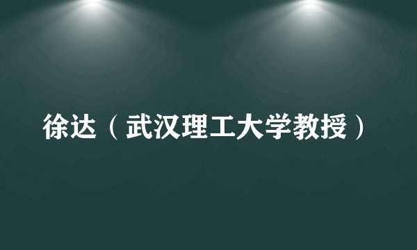徐达（武汉理工大学教授）