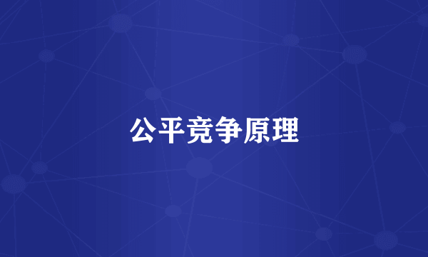 公平竞争原理