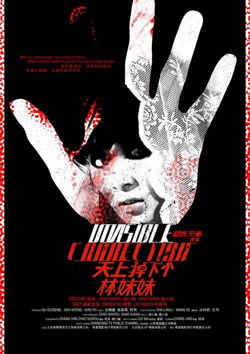 天上掉下个林妹妹（2010年赵小鸥、赵小溪执导的电影）
