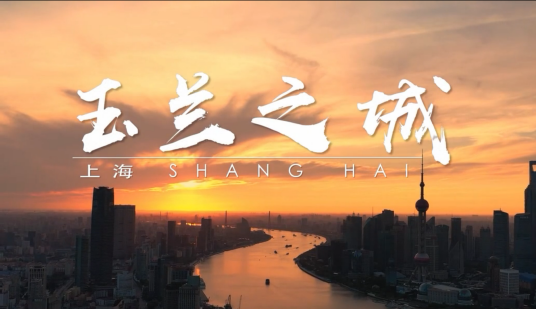 玉兰之城