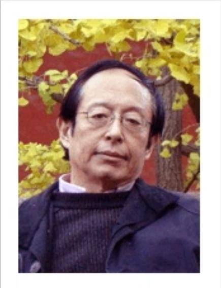 王大绩高考语文在线