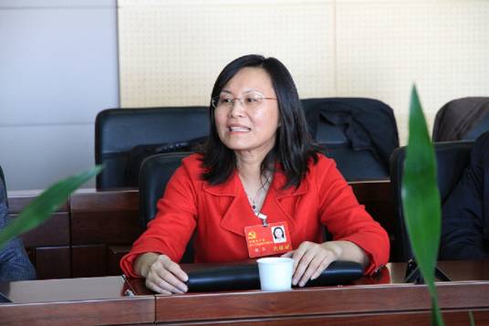 邵芸（十九大代表、中国科学院遥感所研究员）