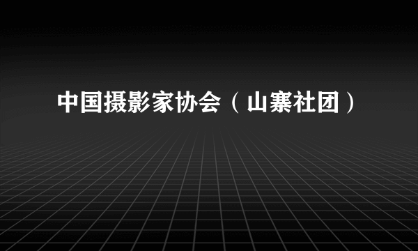 中国摄影家协会（山寨社团）