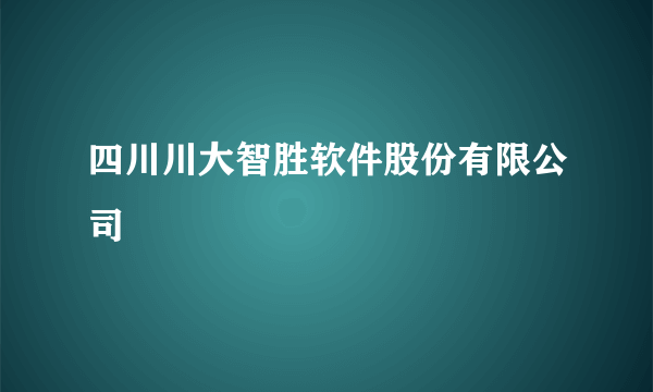 四川川大智胜软件股份有限公司