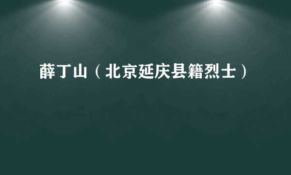 薛丁山（北京延庆县籍烈士）