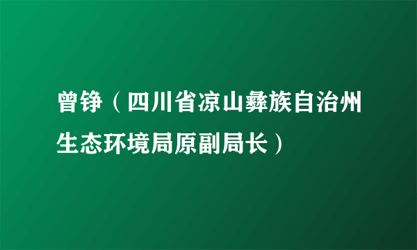 曾铮（四川省凉山彝族自治州生态环境局原副局长）
