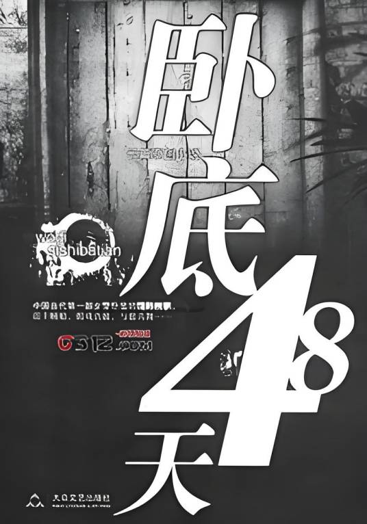 卧底48天（费城的猫著悬疑小说）