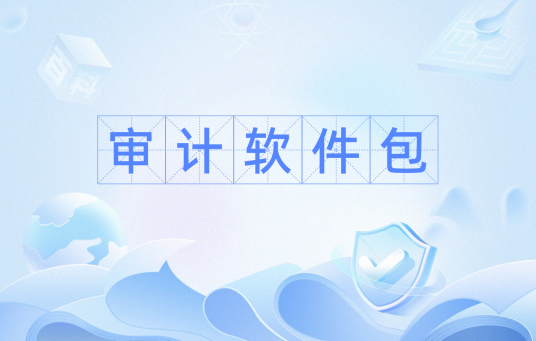 审计软件包