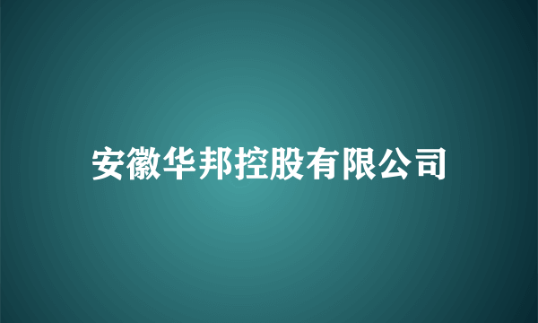 安徽华邦控股有限公司