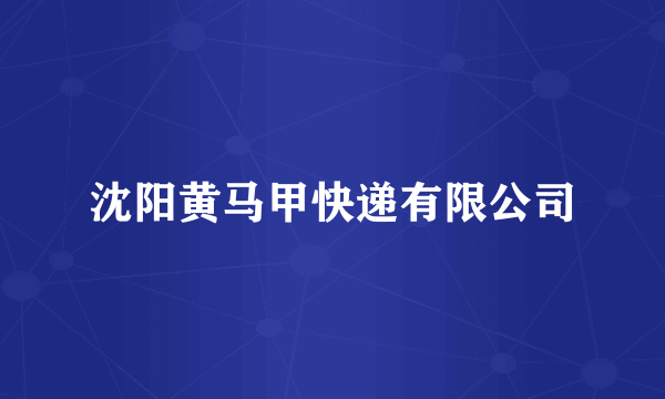 沈阳黄马甲快递有限公司