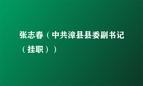 张志春（中共漳县县委副书记（挂职））