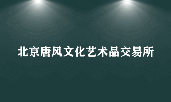 北京唐风文化艺术品交易所