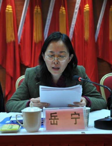 岳宁（陕西省铜川市印台区纪律检查委员会书记）