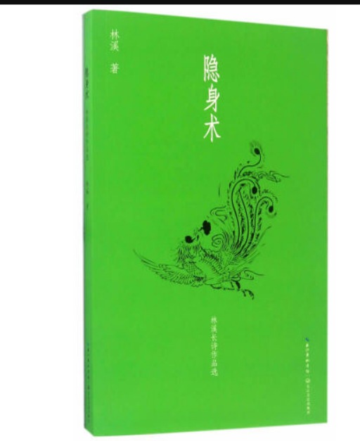 隐身术（2017年6月长江文艺出版社出版的图书）