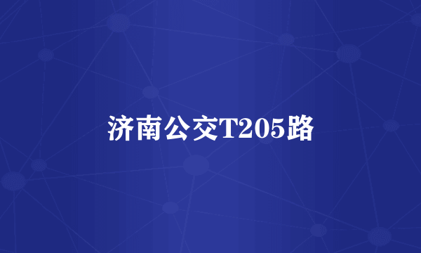 济南公交T205路