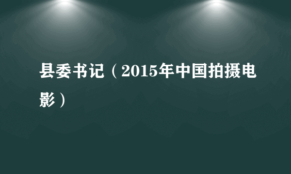县委书记（2015年中国拍摄电影）