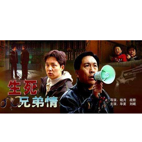 生死兄弟情（2000年电视剧）
