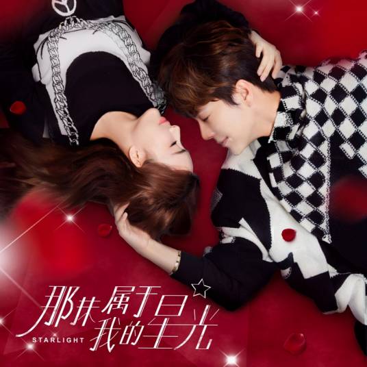 爱在星光灿烂时（徐海乔演唱歌曲）