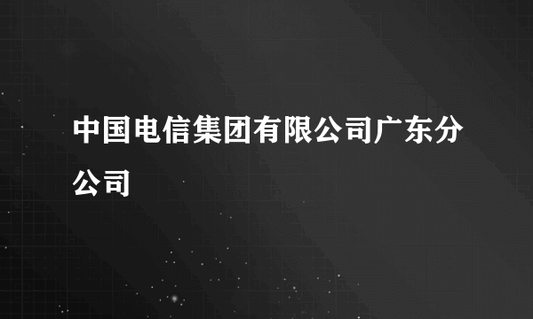 中国电信集团有限公司广东分公司