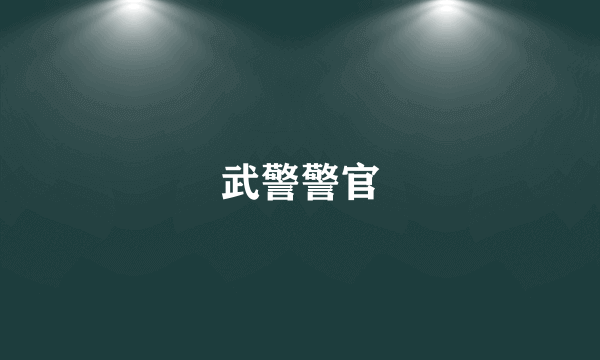武警警官