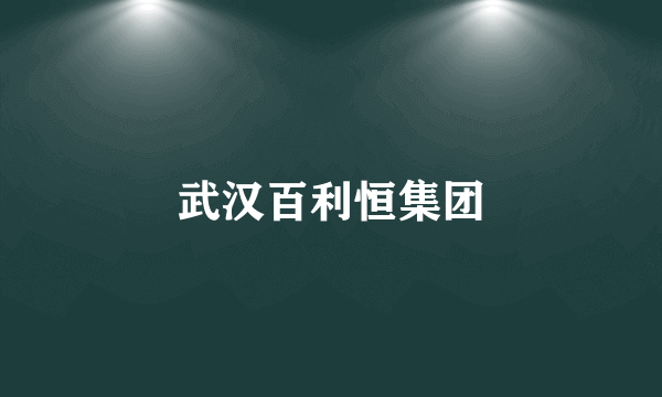 武汉百利恒集团