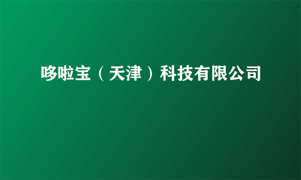 哆啦宝（天津）科技有限公司