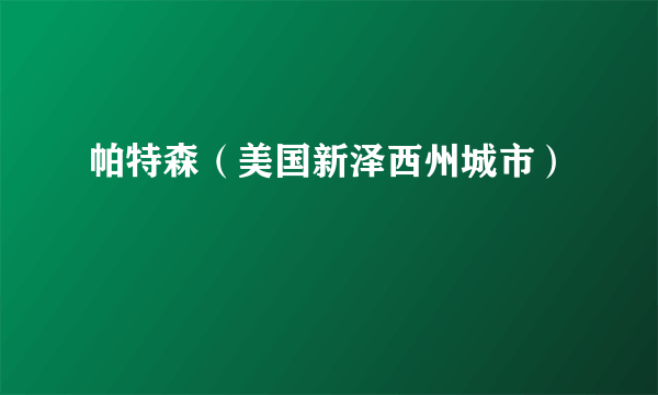 帕特森（美国新泽西州城市）