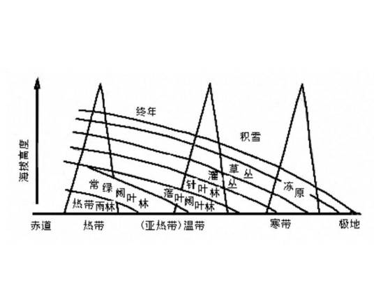 地带性植被