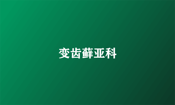 变齿藓亚科
