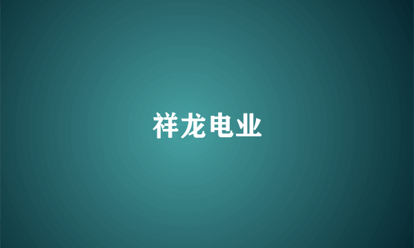 祥龙电业