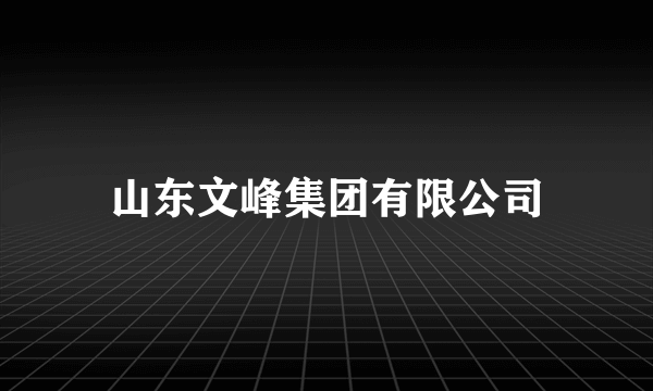 山东文峰集团有限公司