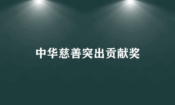中华慈善突出贡献奖