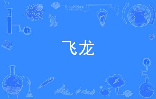 飞龙（汉语词语）