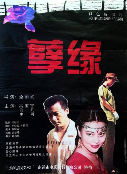 孽缘（1995年金丽妮执导的剧情电影）