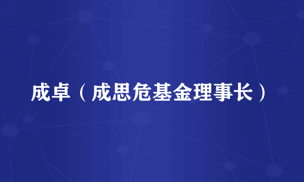 成卓（成思危基金理事长）
