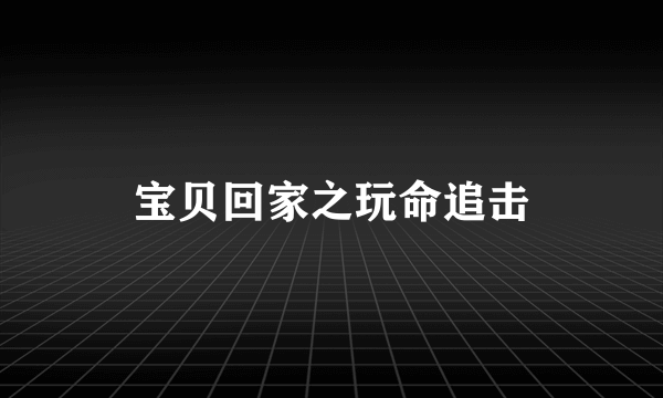 宝贝回家之玩命追击
