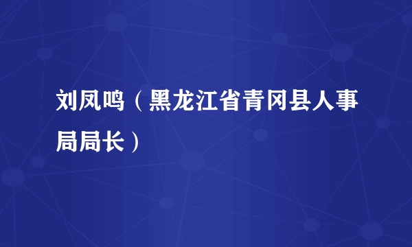 刘凤鸣（黑龙江省青冈县人事局局长）